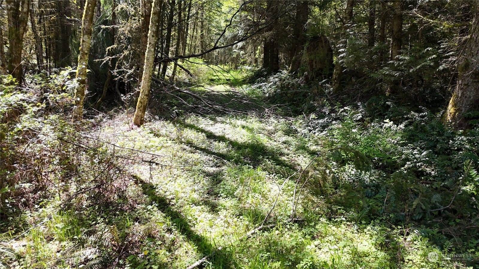 21 Academy Highlands, Bellingham, WA 98226