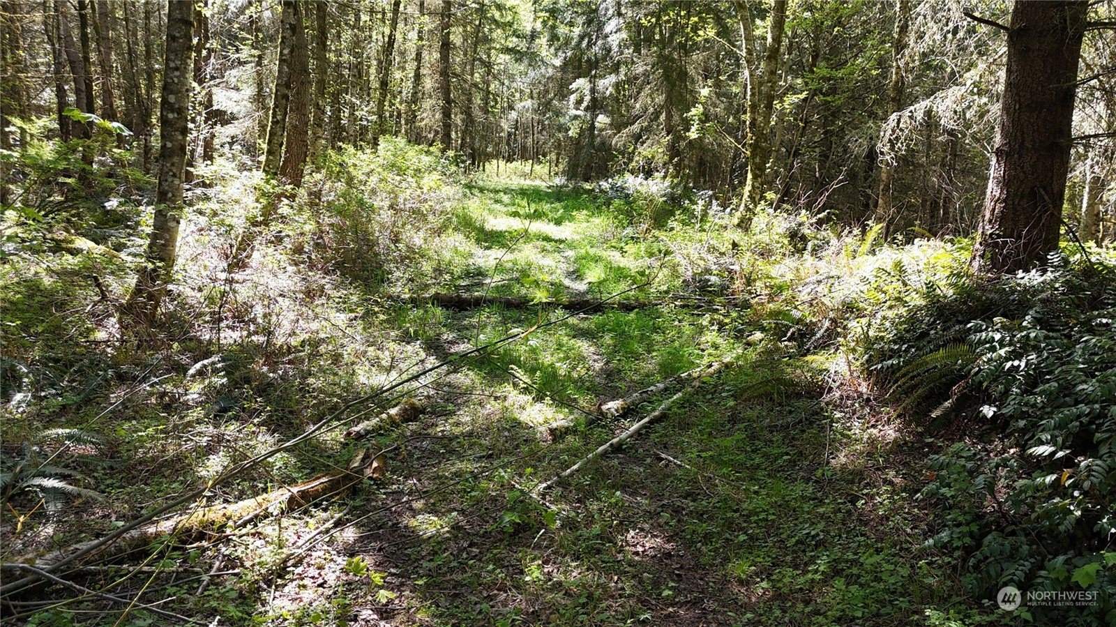 21 Academy Highlands, Bellingham, WA 98226