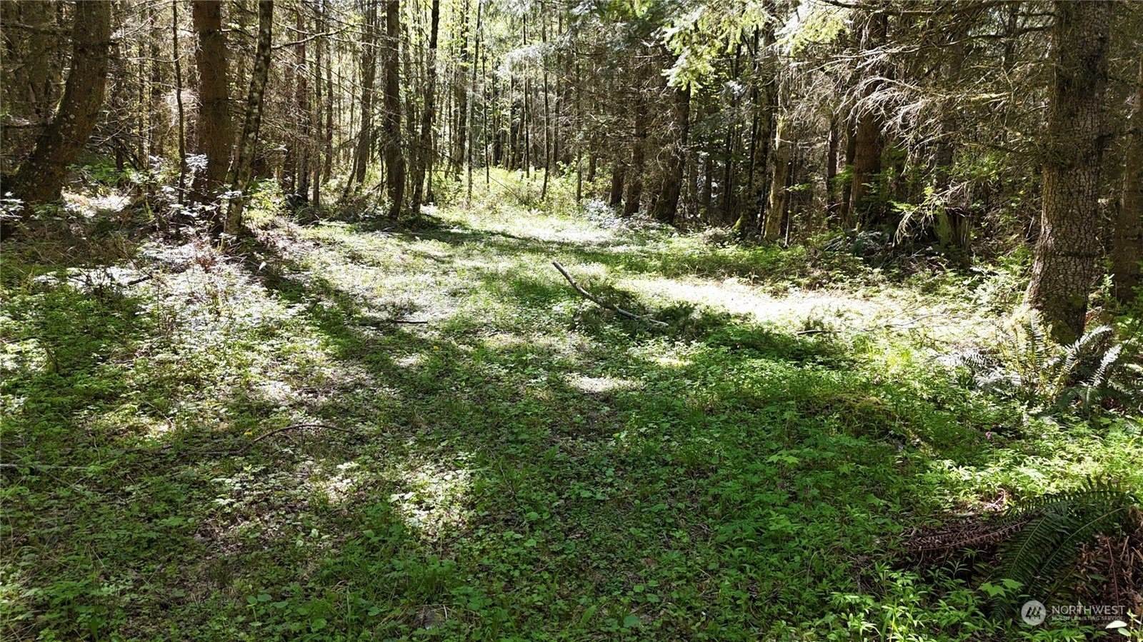 21 Academy Highlands, Bellingham, WA 98226