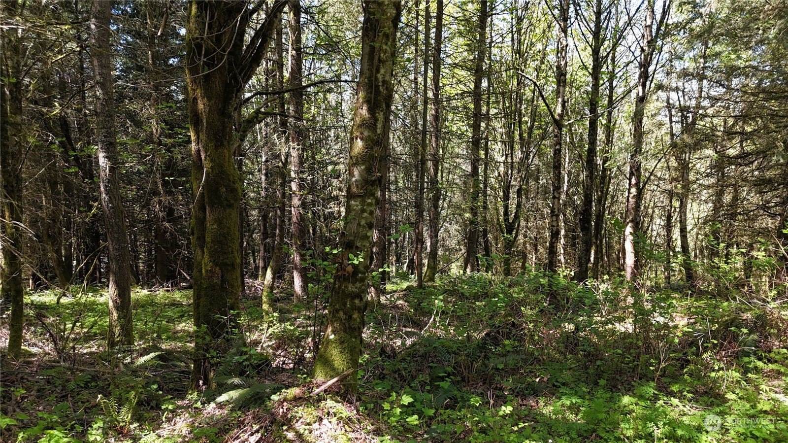 21 Academy Highlands, Bellingham, WA 98226