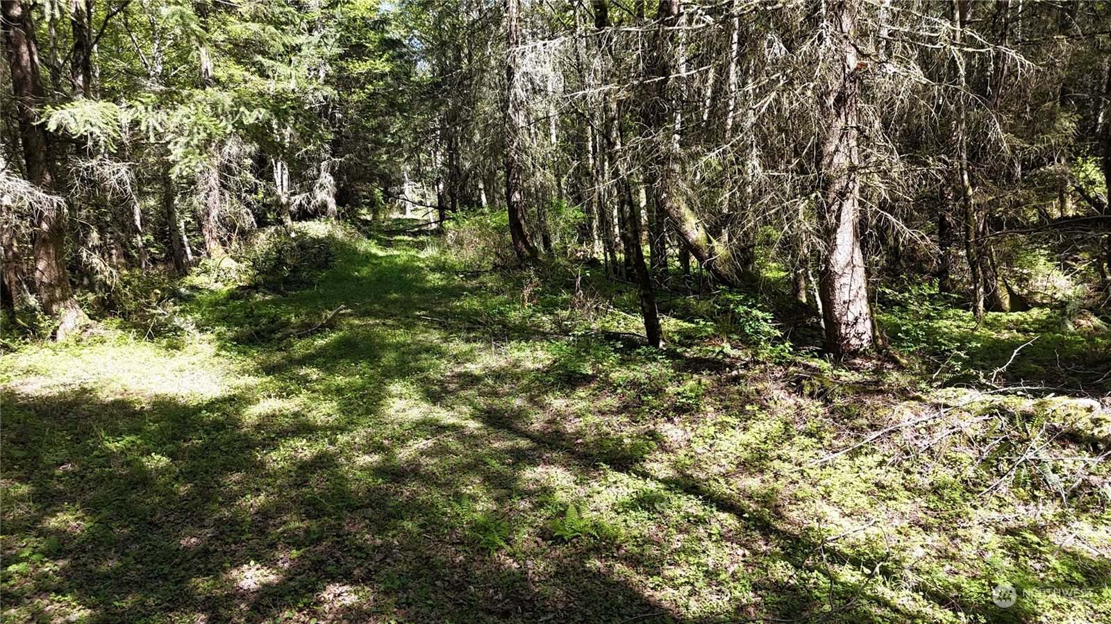 21 Academy Highlands, Bellingham, WA 98226