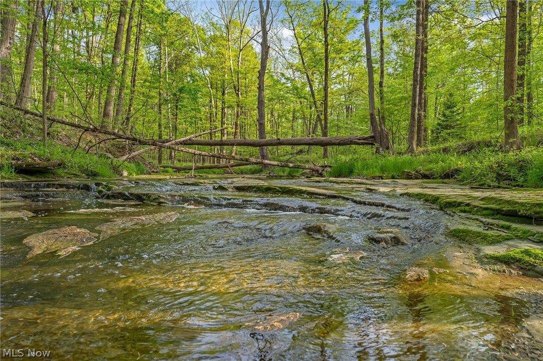 4201 South Turner Road, Canfield, OH 44406