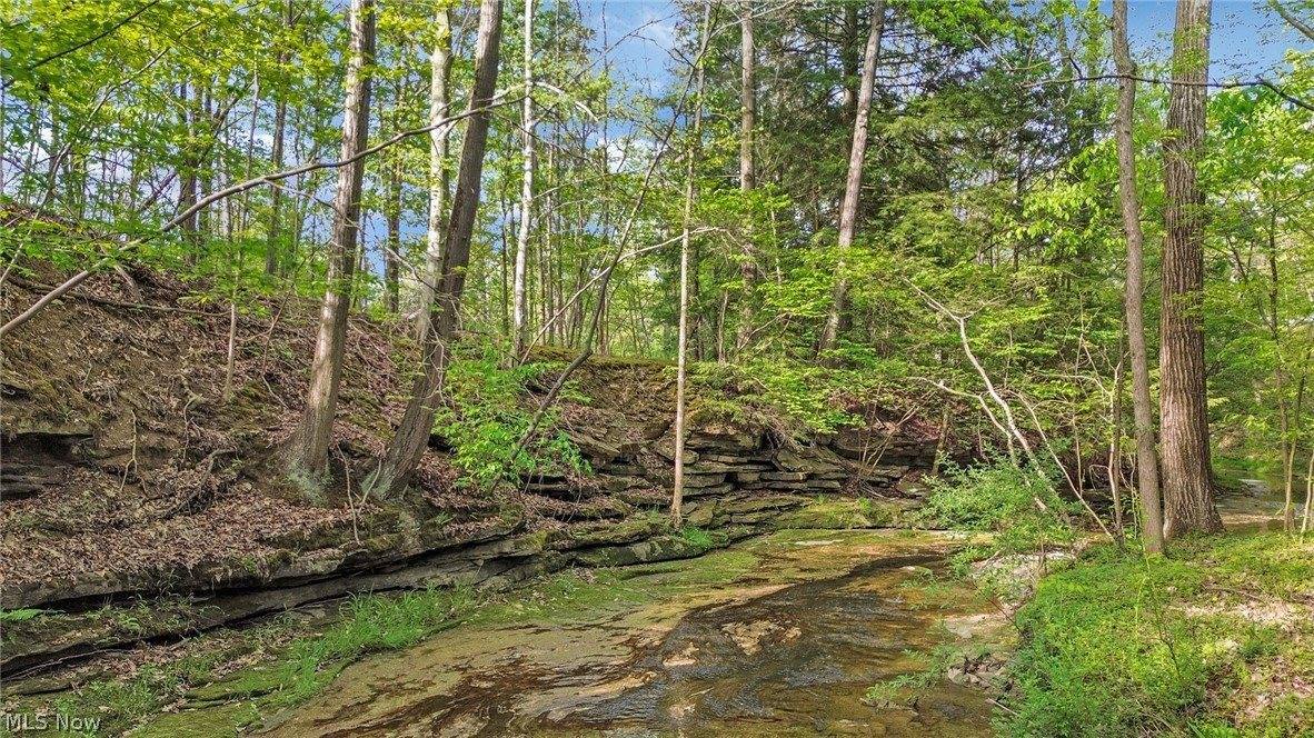 4201 South Turner Road, Canfield, OH 44406