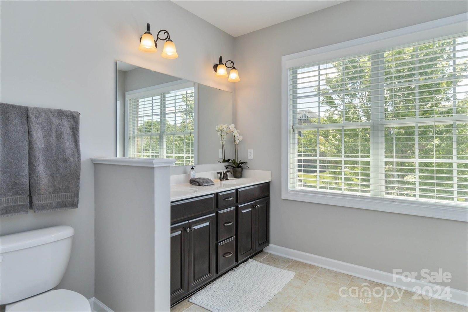 425 Deer Brush Lane, Waxhaw, NC 28173