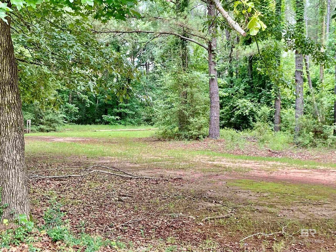 lot 58 Riverview Landing Drive, Camden, AL 36726