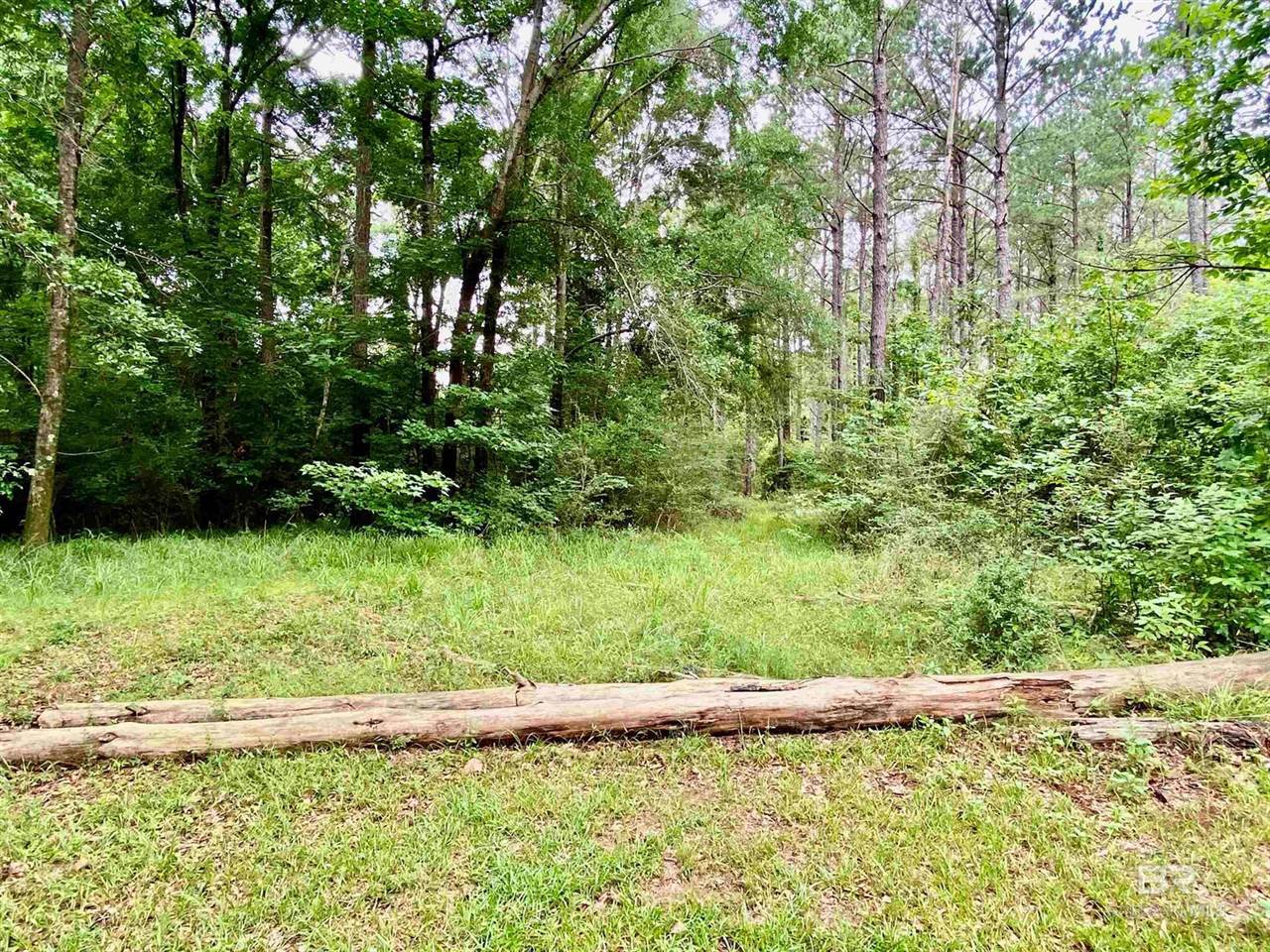 lot 58 Riverview Landing Drive, Camden, AL 36726