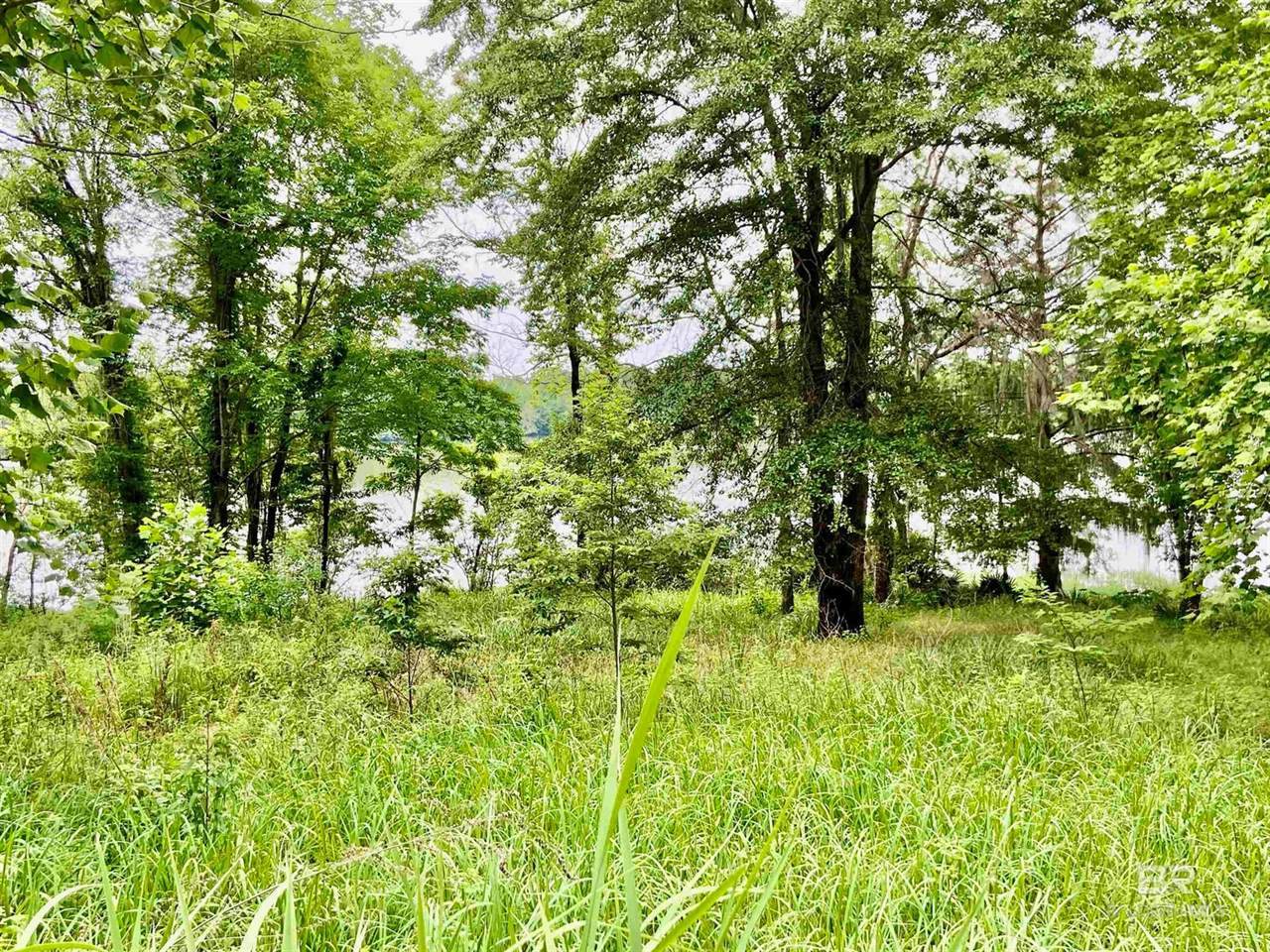 lot 58 Riverview Landing Drive, Camden, AL 36726