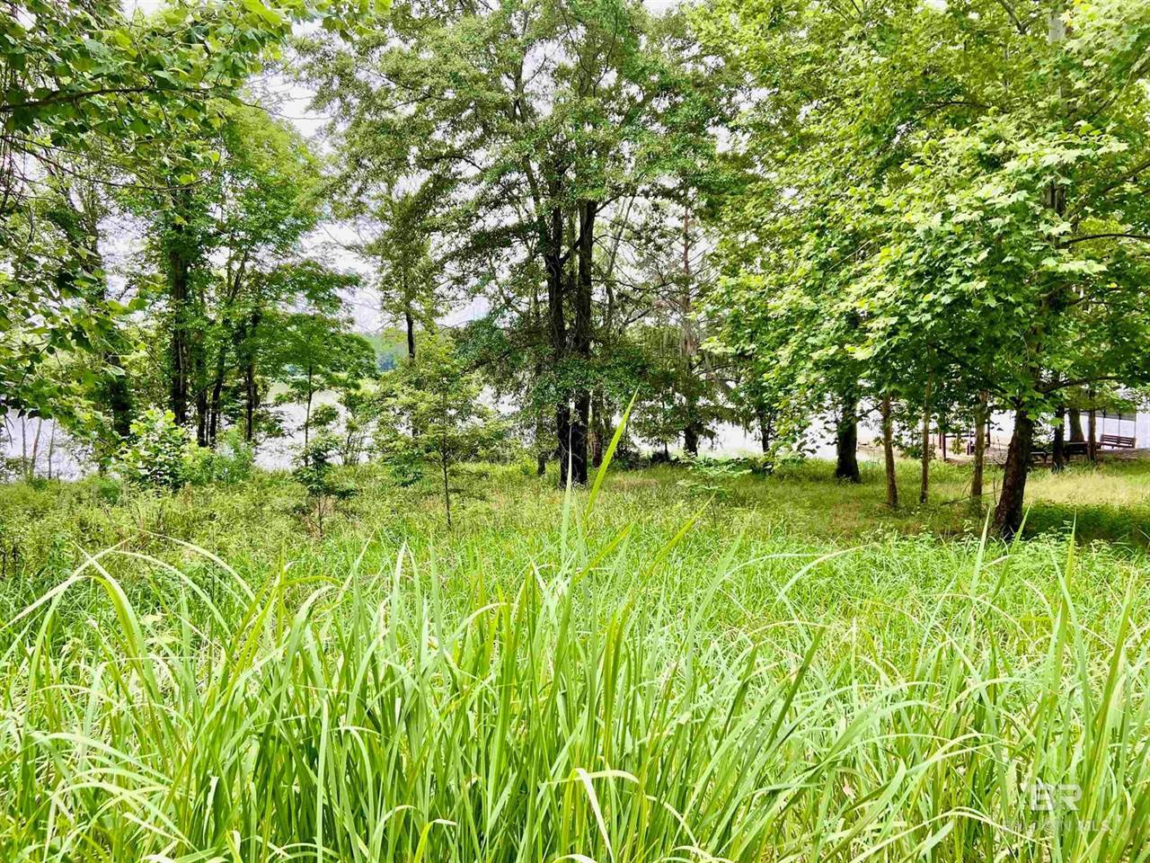 lot 58 Riverview Landing Drive, Camden, AL 36726