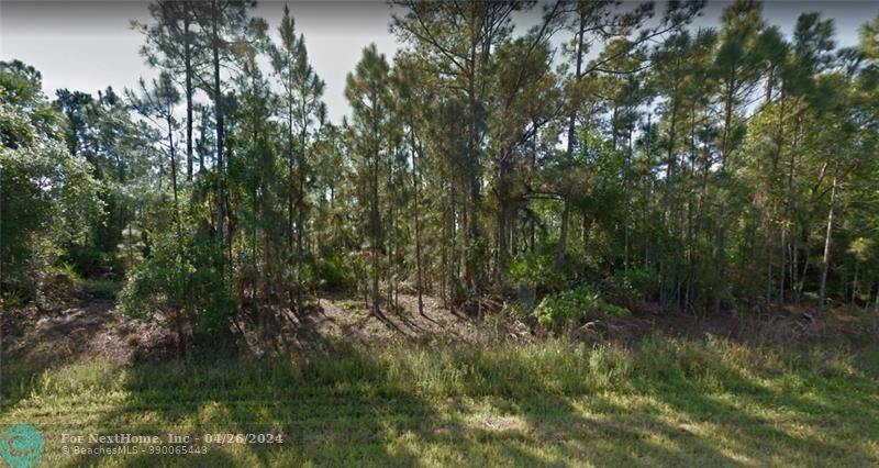 0 Lynchburg Ave, Other City - In The State Of Florida, FL 34288