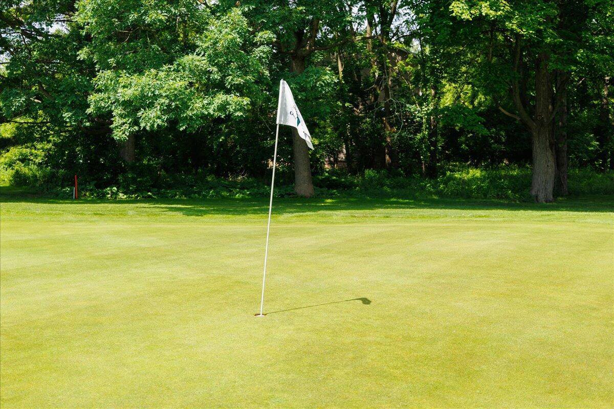 2003 Lac Du Mont Drive, Haslett, MI 48840