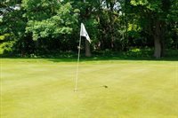 2003 Lac Du Mont Drive, Haslett, MI 48840