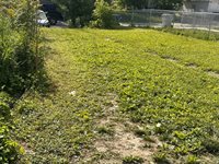 3025 North 6th St, Milwaukee, WI 53212