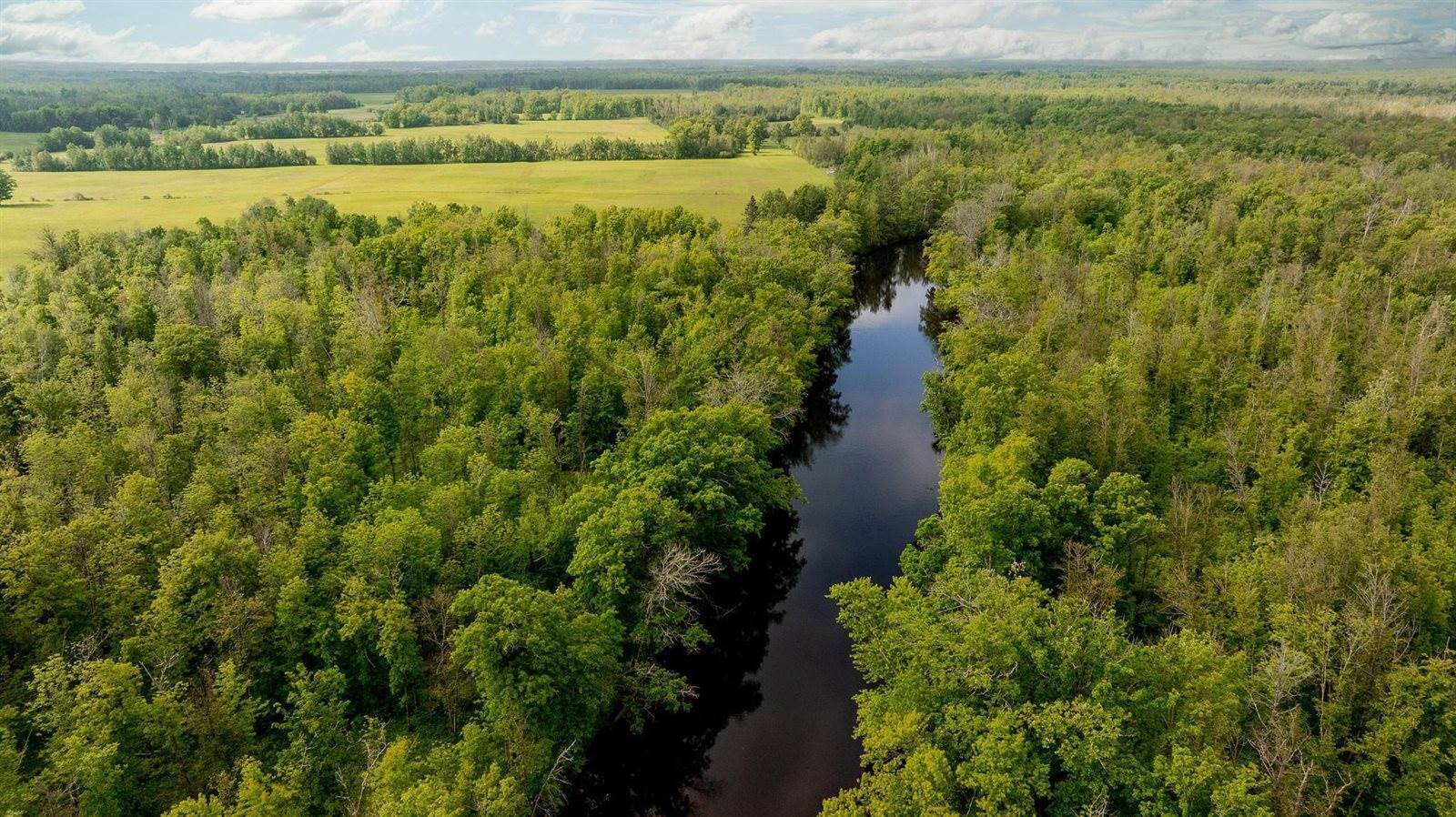 31406 490th Lane, Palisade, MN 56469