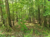 0 Weeping Cherry, Columbia, SC 29212