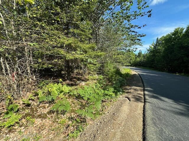 Lot #8 Bonnie Way, Winterport, ME 04496