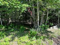 Lot #8 Bonnie Way, Winterport, ME 04496