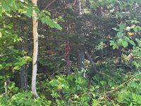 Lot #8 Bonnie Way, Winterport, ME 04496