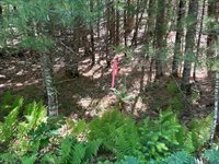 Lot #8 Bonnie Way, Winterport, ME 04496