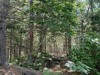 Lot #8 Bonnie Way, Winterport, ME 04496