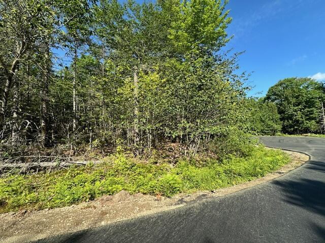 Lot #3 Bonnie Way, Winterport, ME 04496