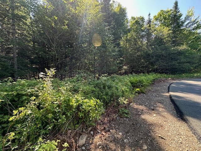 Lot #3 Bonnie Way, Winterport, ME 04496