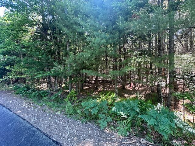 Lot #3 Bonnie Way, Winterport, ME 04496