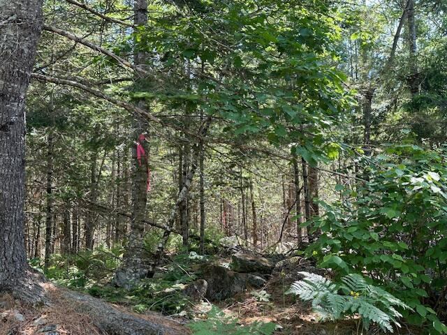 Lot #3 Bonnie Way, Winterport, ME 04496