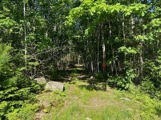 Lot #5 Bonnie Way, Winterport, ME 04496