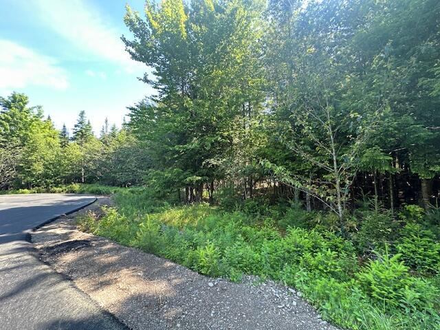 Lot #5 Bonnie Way, Winterport, ME 04496