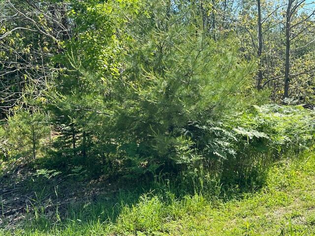 Lot #5 Bonnie Way, Winterport, ME 04496