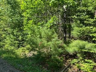 Lot #5 Bonnie Way, Winterport, ME 04496