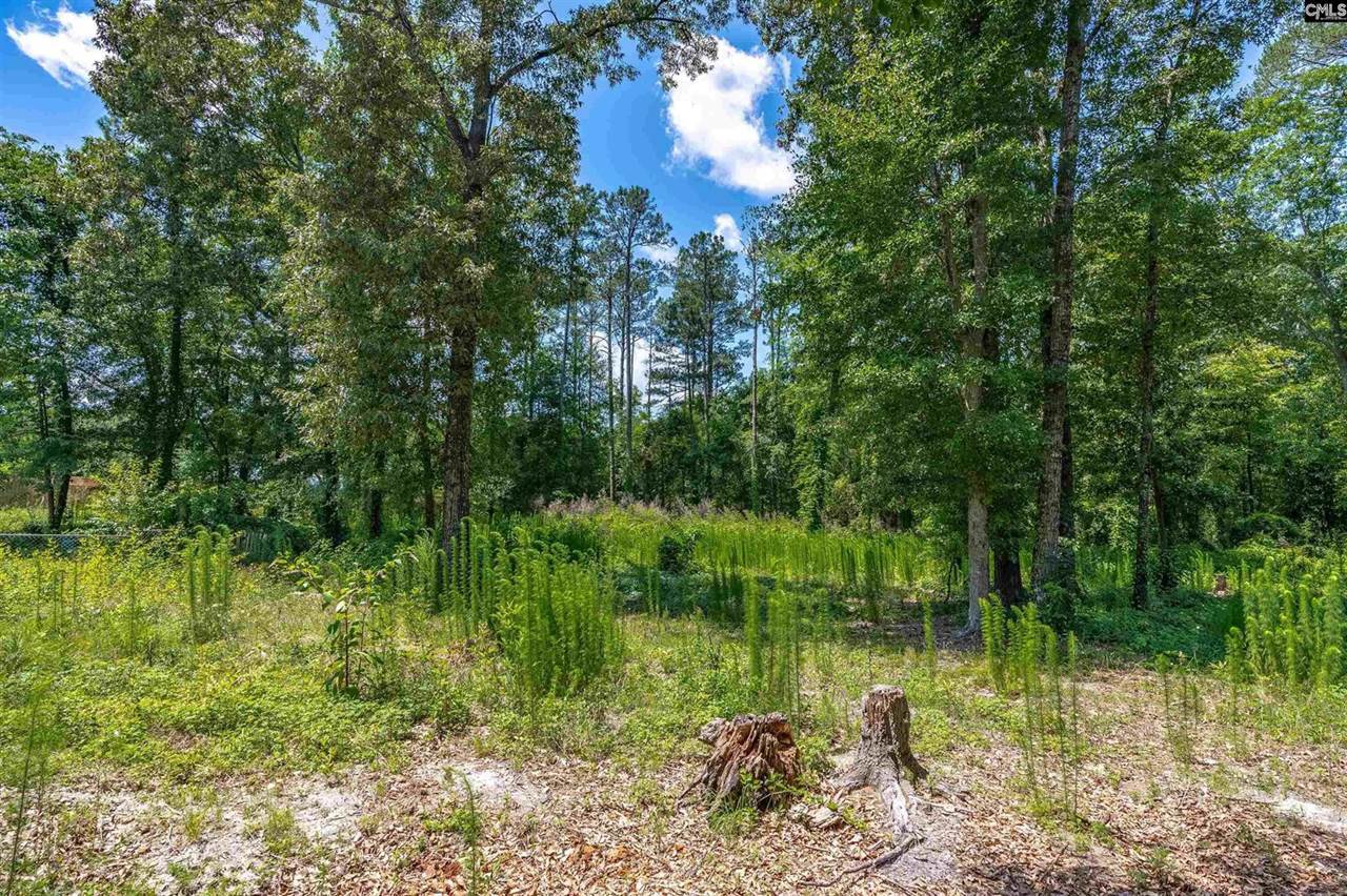 201 Robbie, Lexington, SC 29073