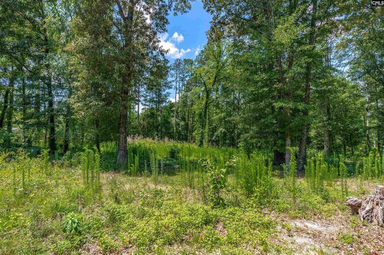 201 Robbie, Lexington, SC 29073