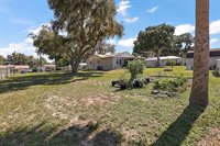 13814 Adams St, Grand Island, FL 32735