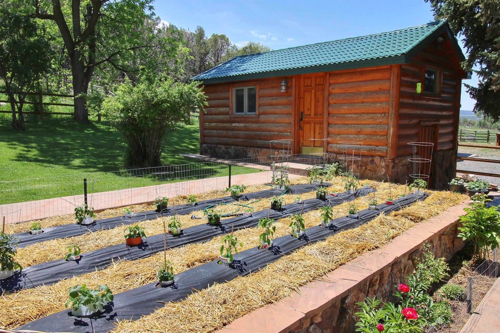 55945 OE Road, Collbran, CO 81624