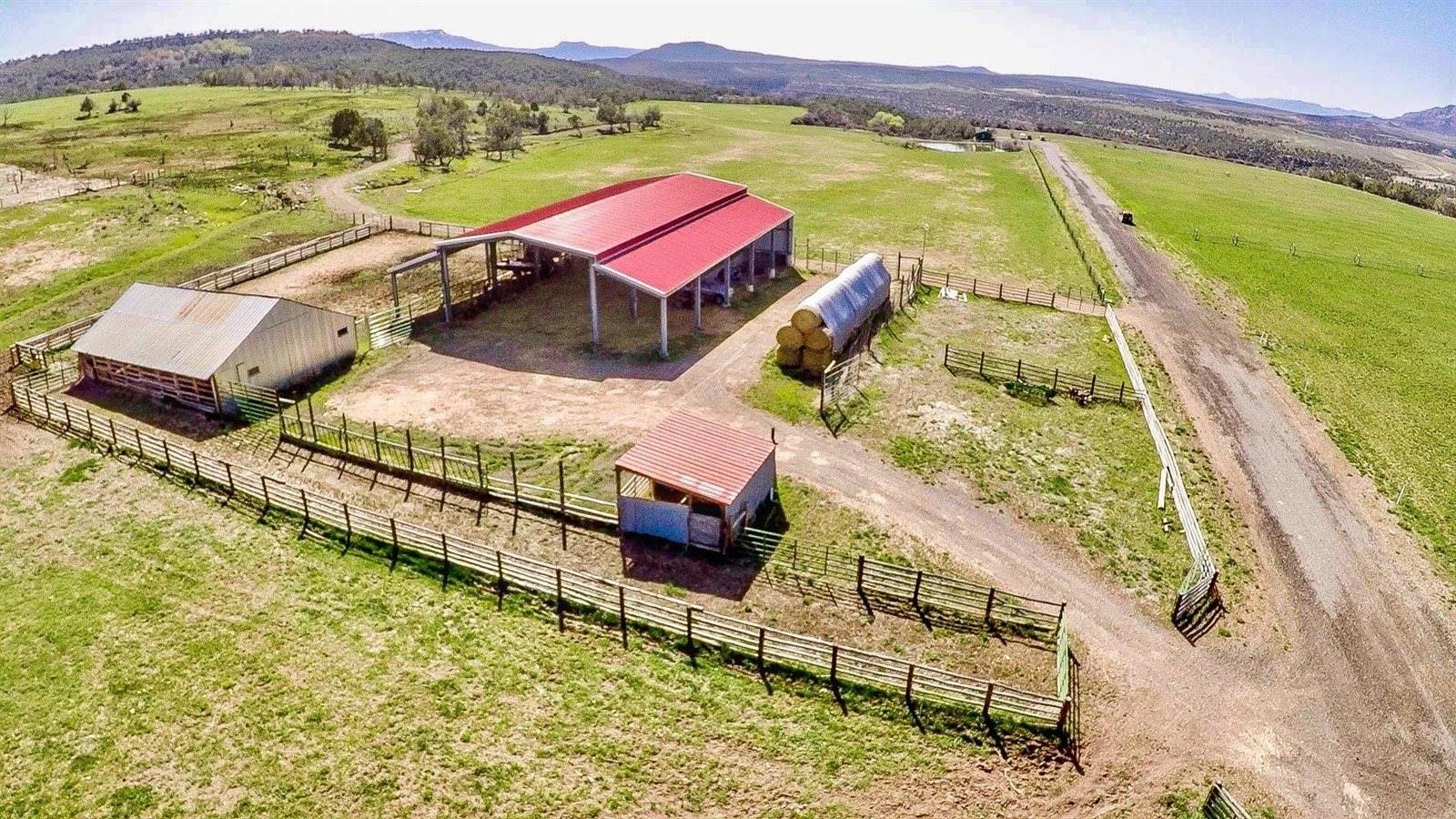 55945 OE Road, Collbran, CO 81624