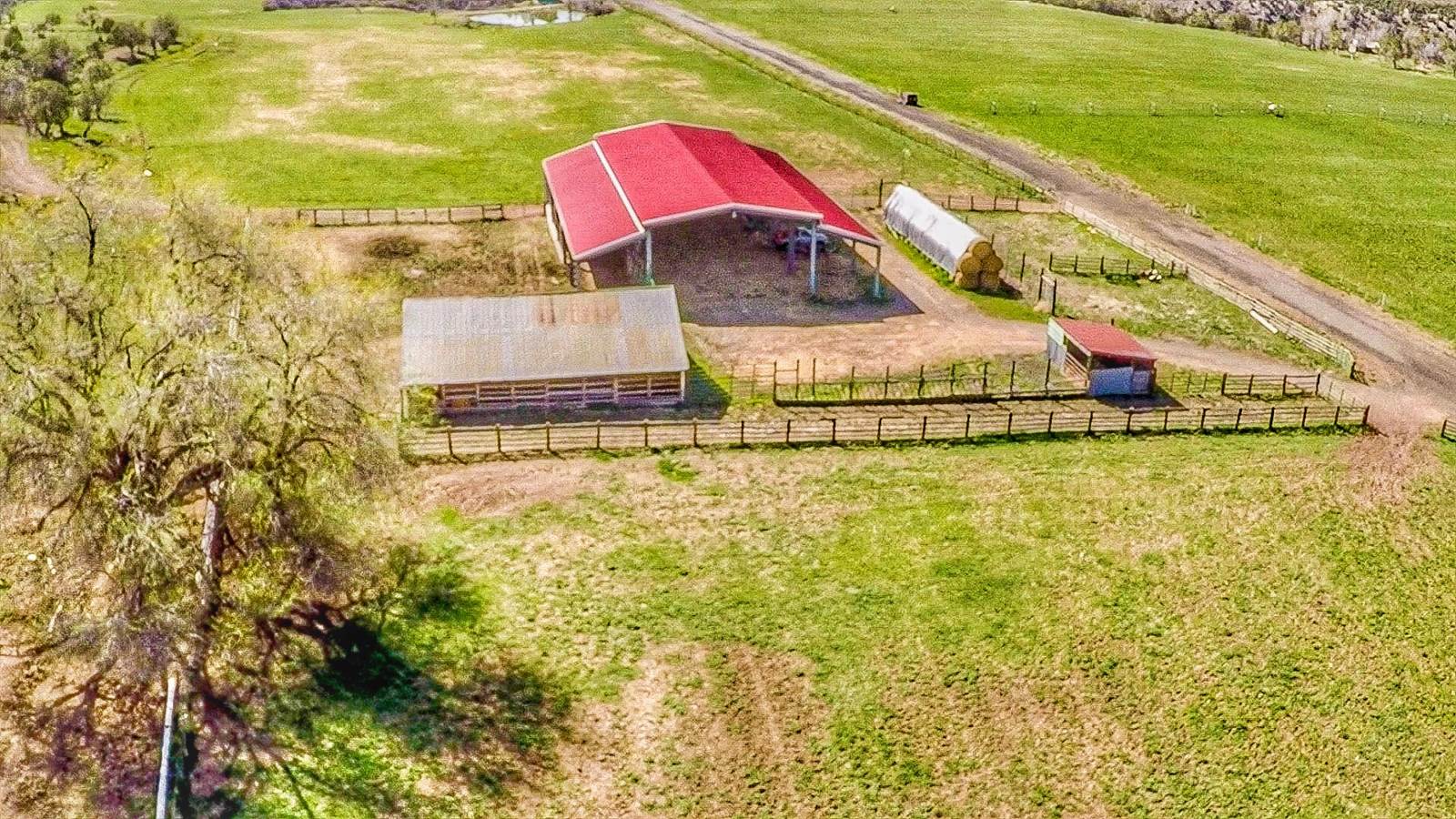 55945 OE Road, Collbran, CO 81624