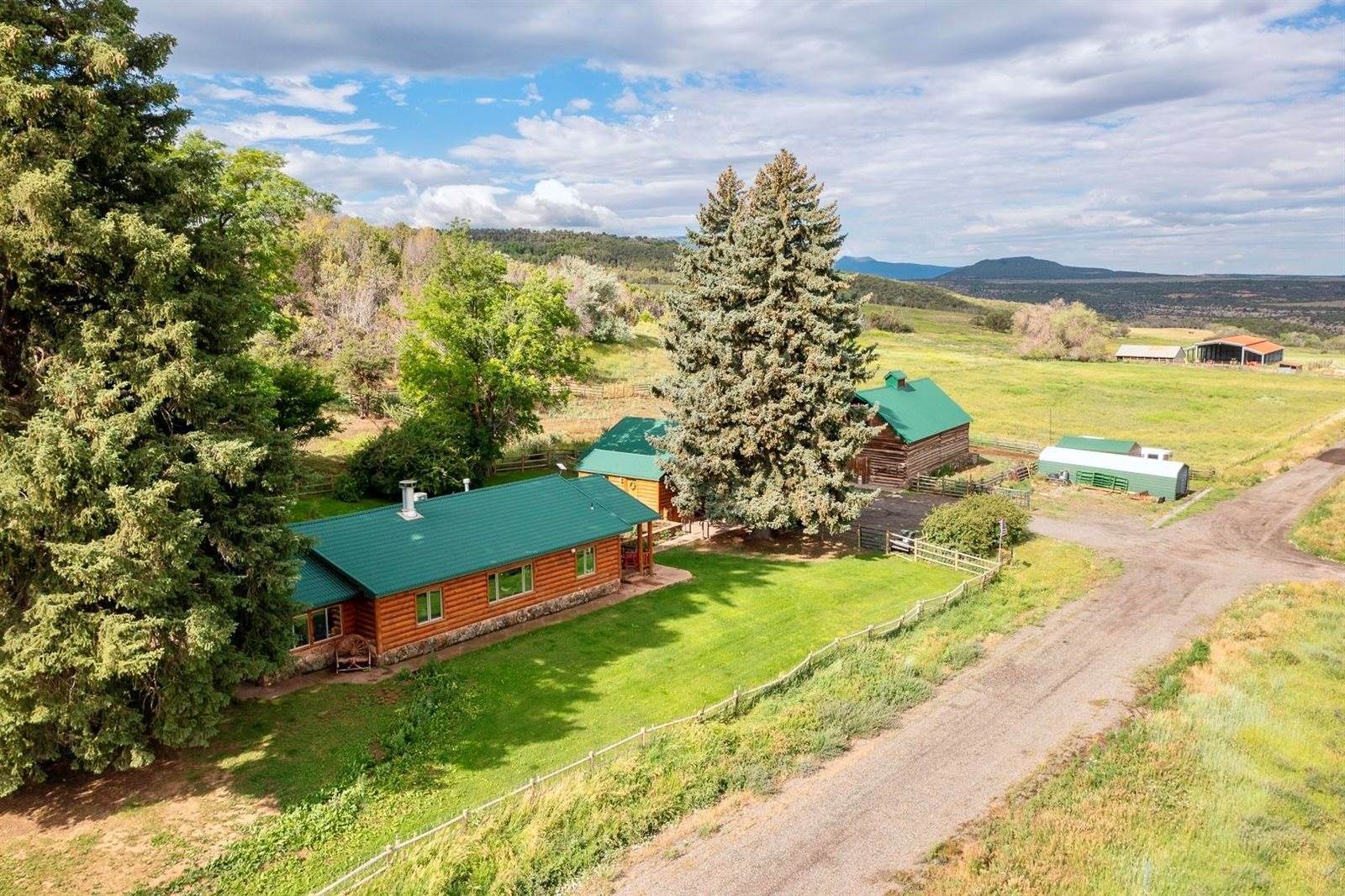 55945 OE Road, Collbran, CO 81624