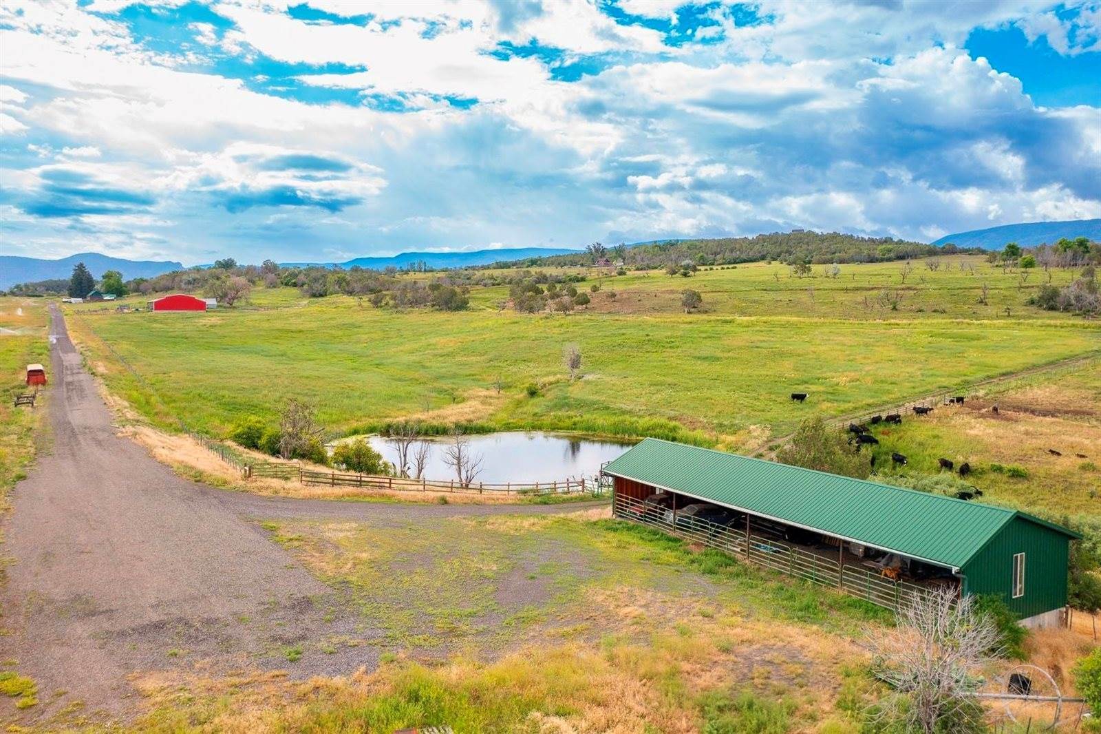 55945 OE Road, Collbran, CO 81624