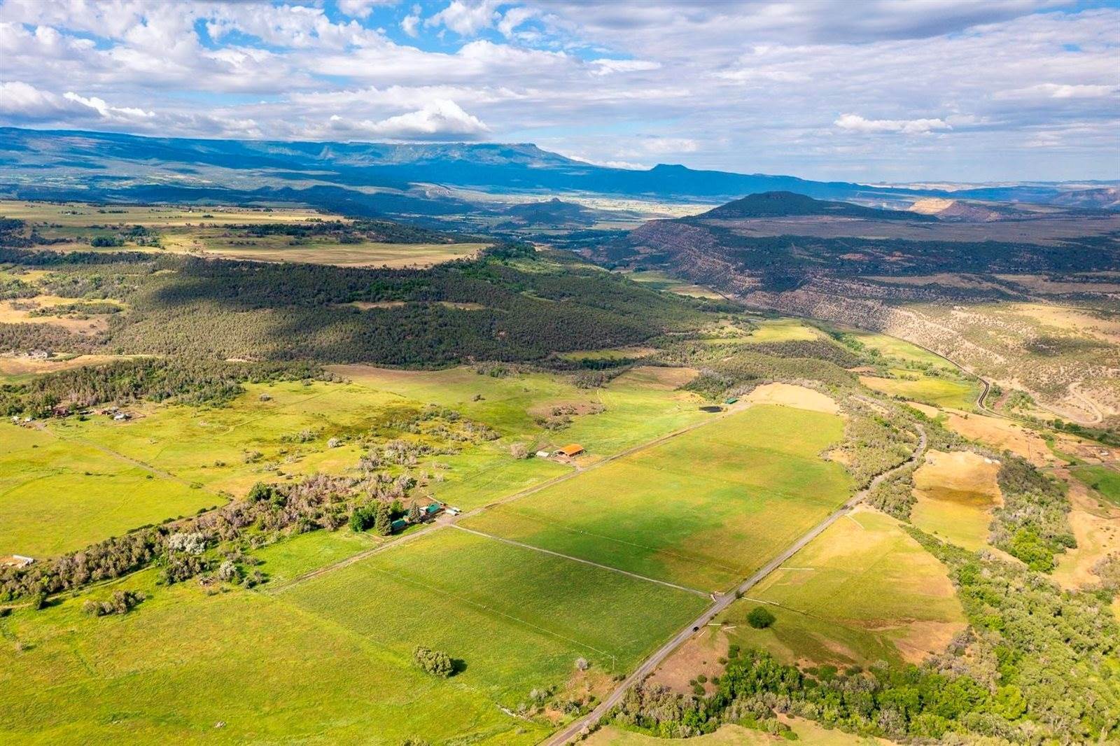 55945 OE Road, Collbran, CO 81624