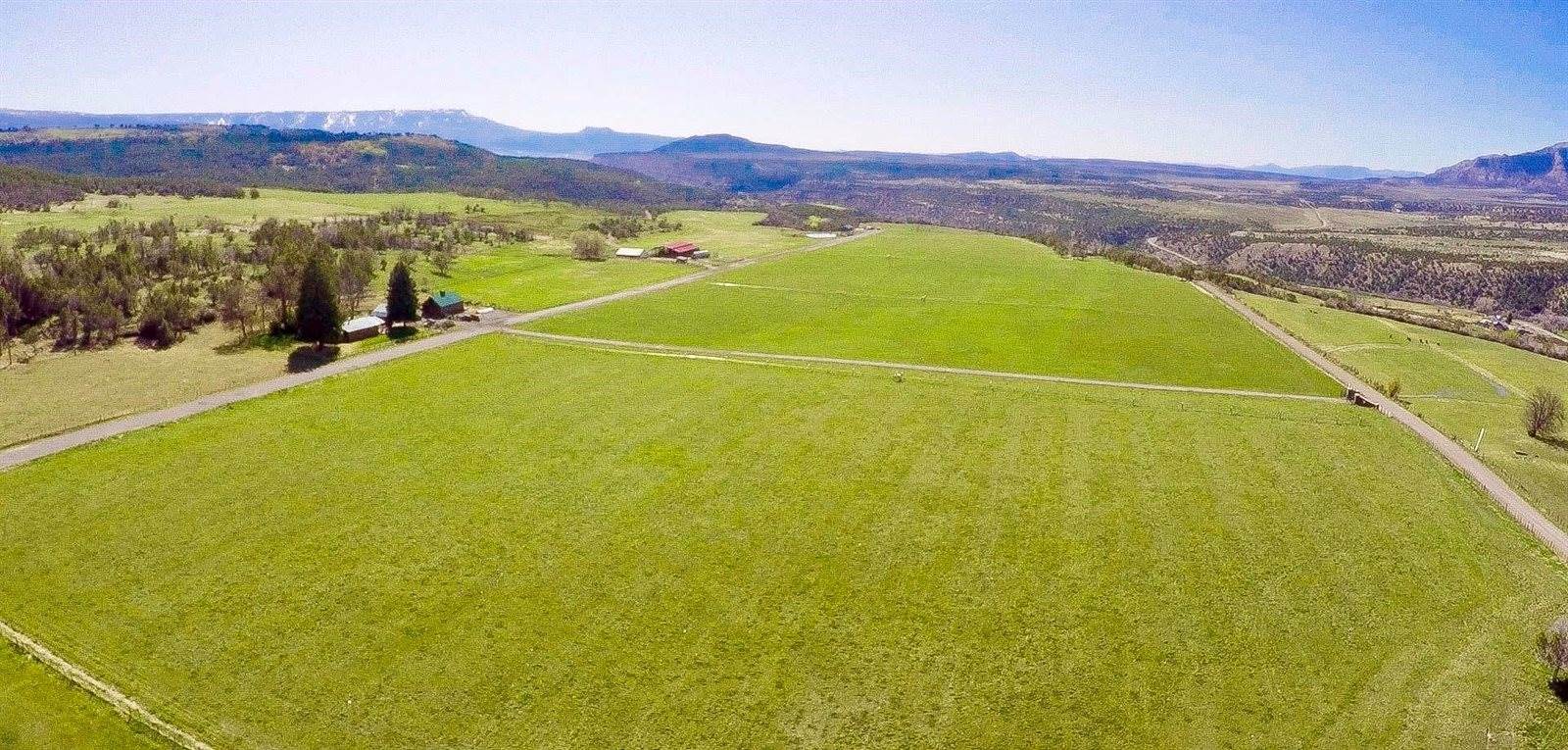 55945 OE Road, Collbran, CO 81624