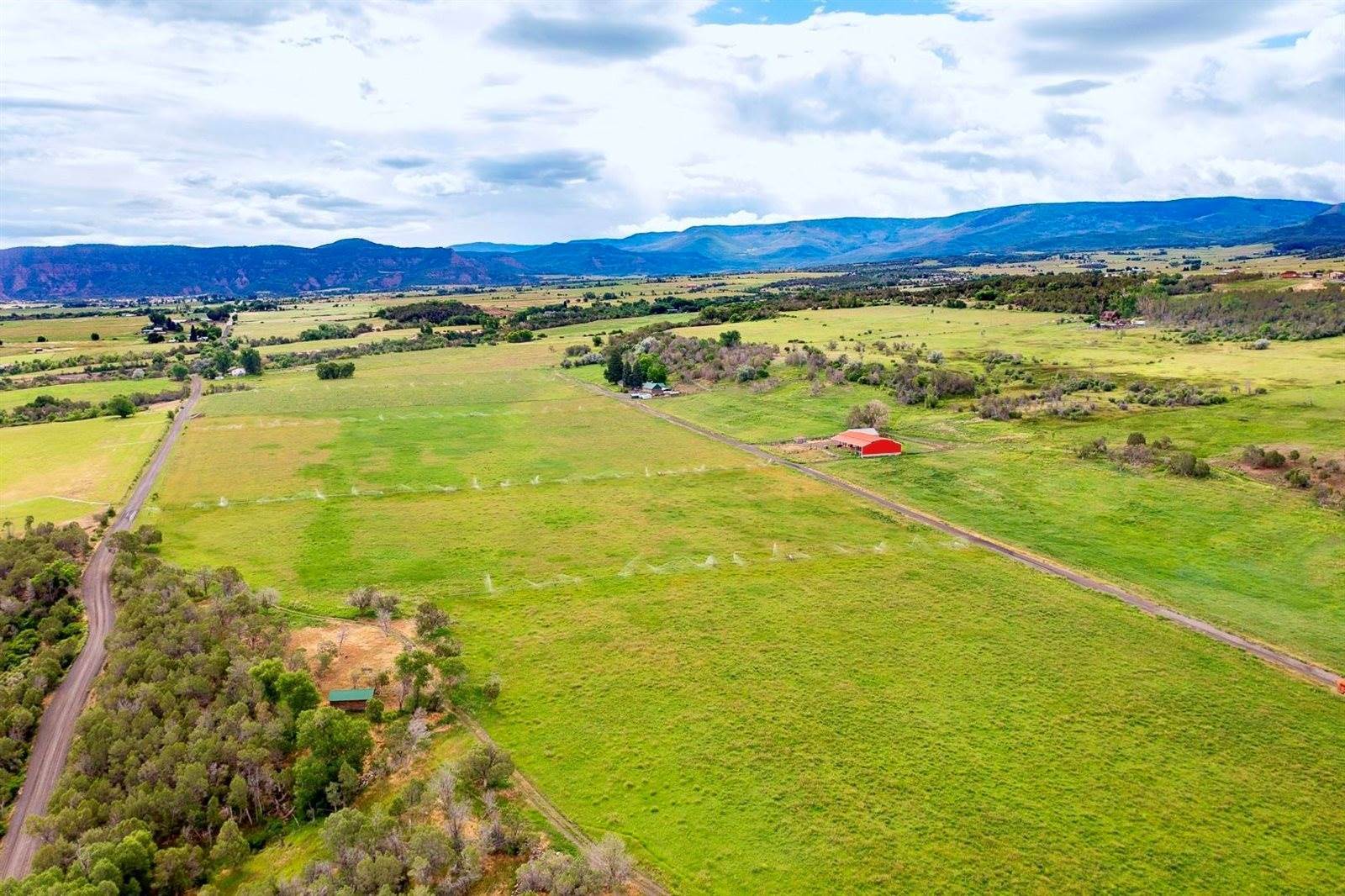 55945 OE Road, Collbran, CO 81624