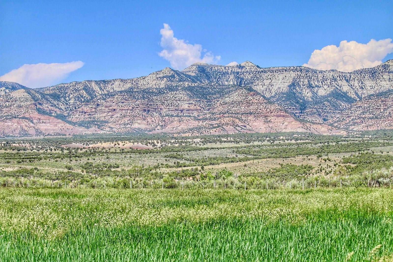 55945 OE Road, Collbran, CO 81624