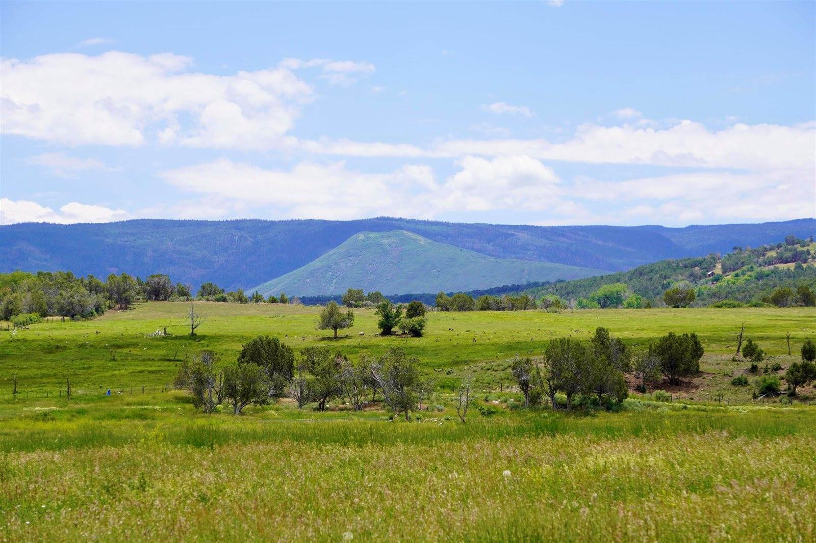 55945 OE Road, Collbran, CO 81624