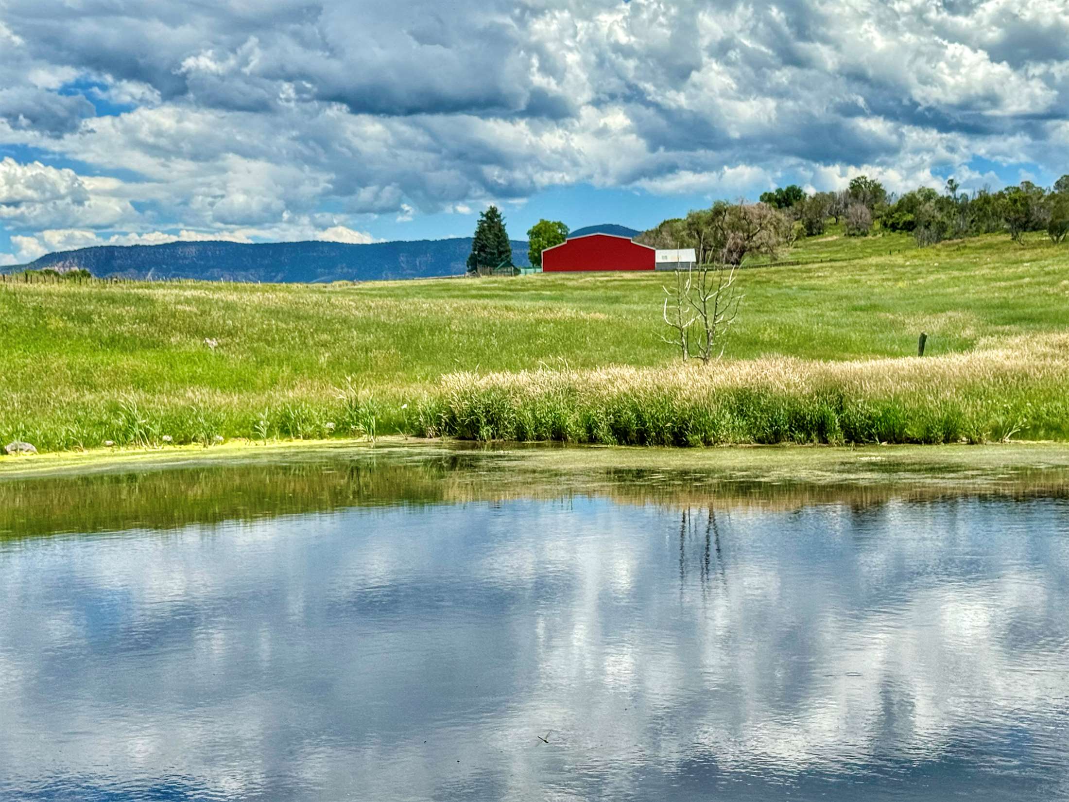 55945 OE Road, Collbran, CO 81624