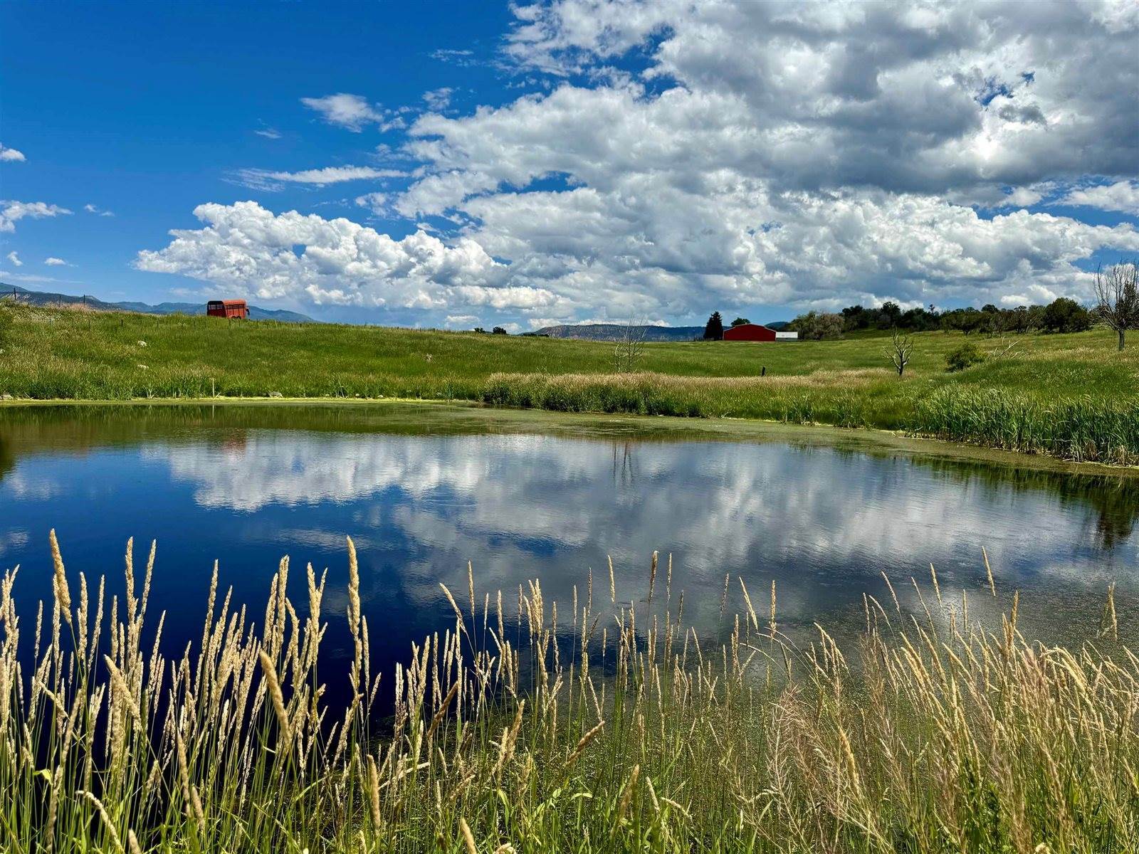 55945 OE Road, Collbran, CO 81624