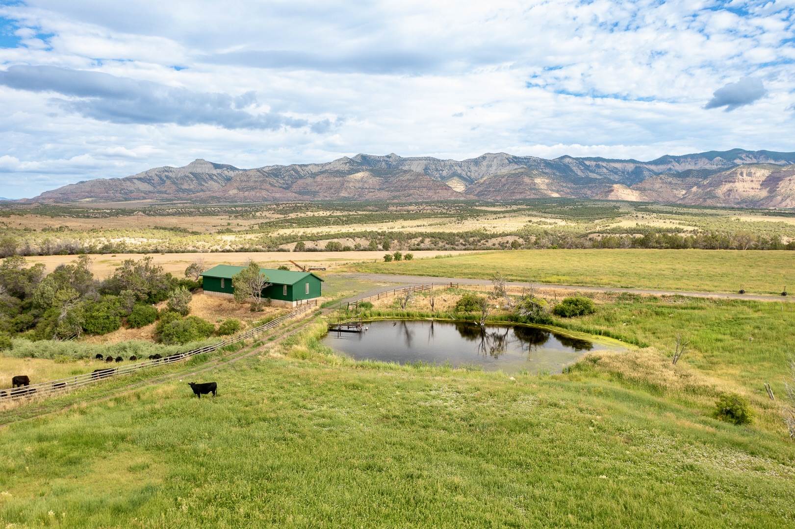 55945 OE Road, Collbran, CO 81624