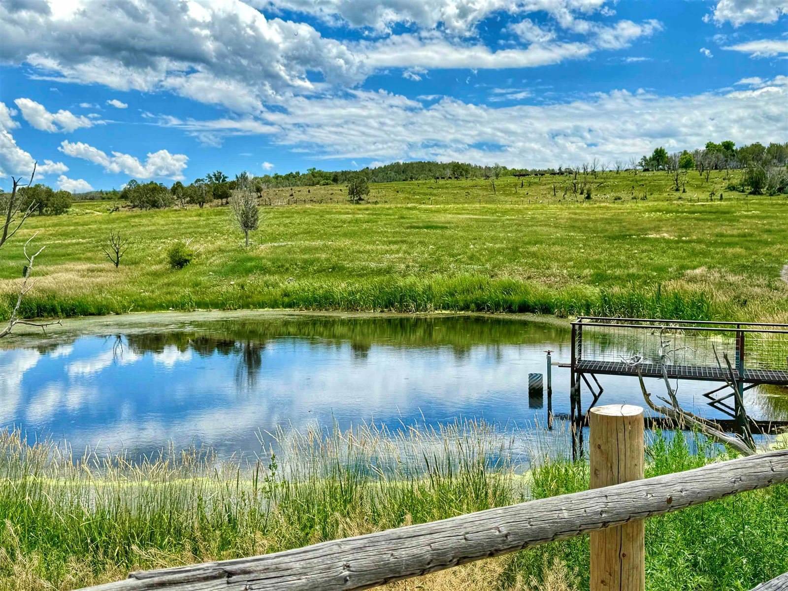 55945 OE Road, Collbran, CO 81624