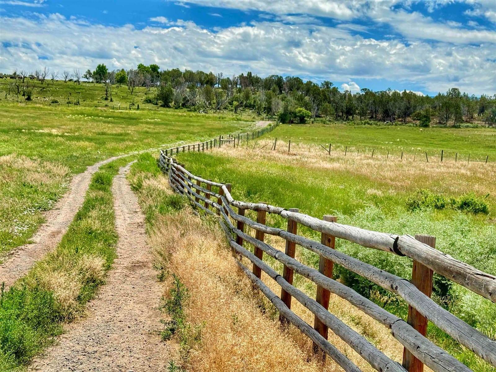 55945 OE Road, Collbran, CO 81624