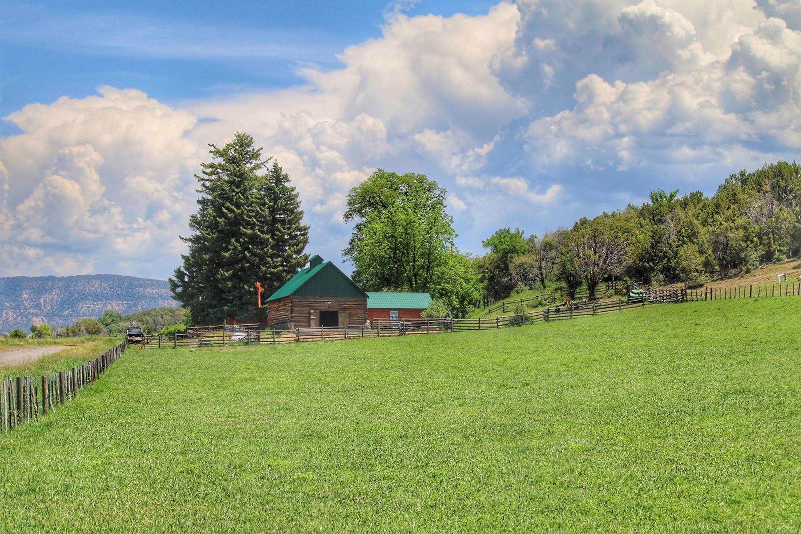 55945 OE Road, Collbran, CO 81624